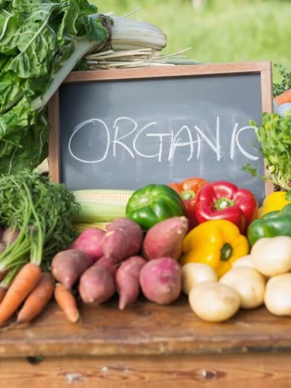 ORGANIC - Система менеджмента безопасности органической сельхозпродукции